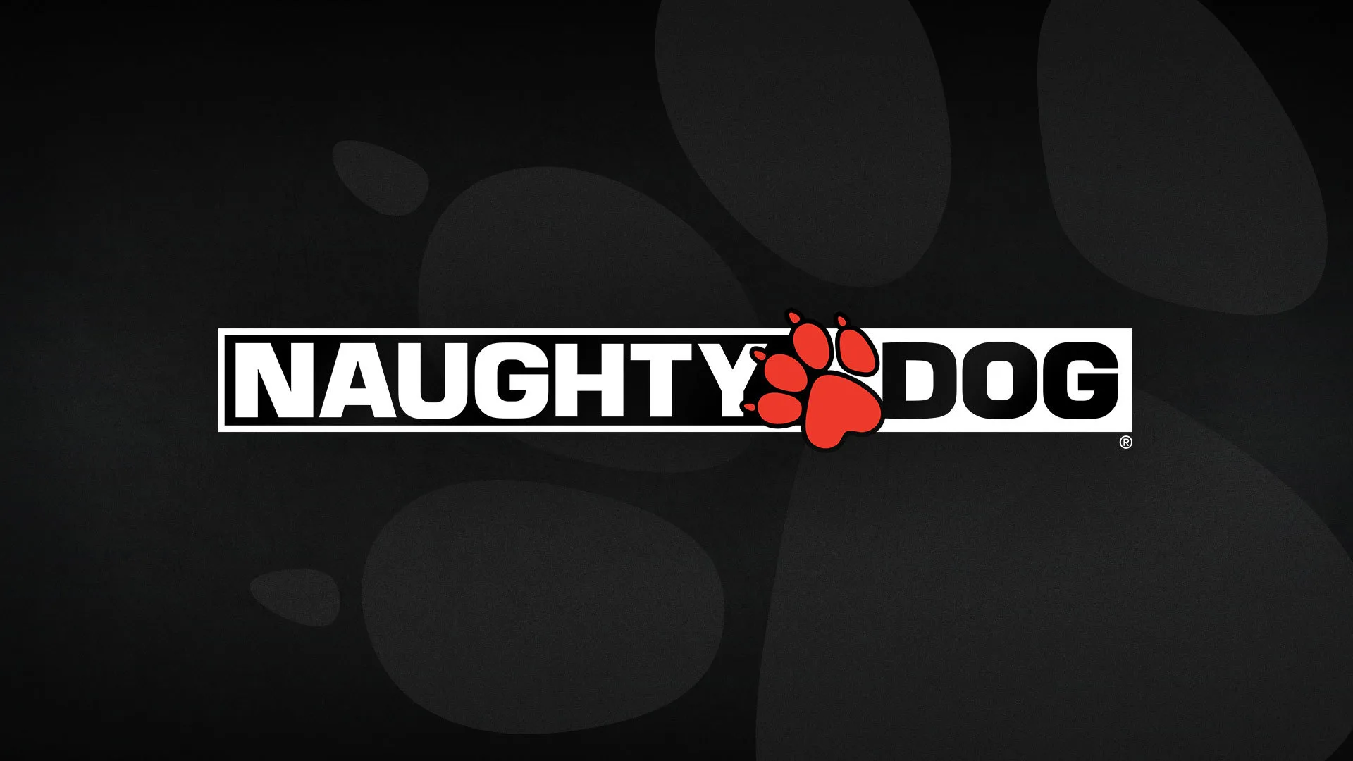 Naughty Dog 2025 Roadmap: The Last of Us and New Game